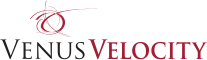 velocity logo